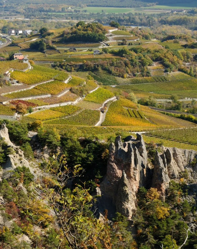 Vue aérienne du vignoble de Varen